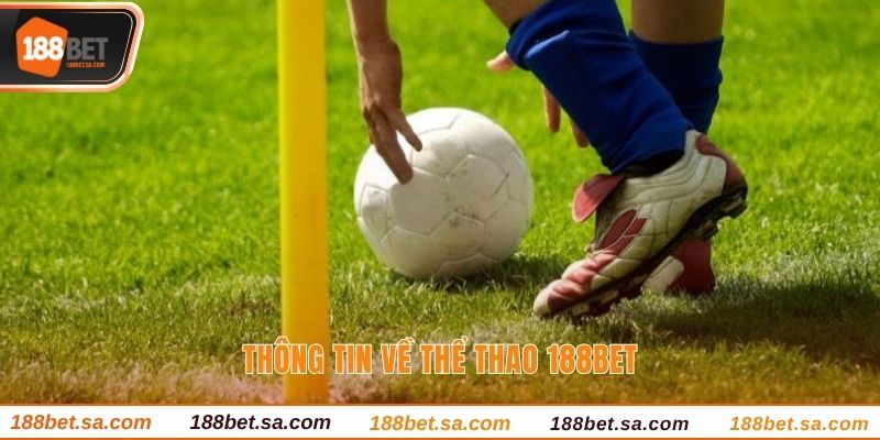 Thể Thao 188BET - Sảnh Cược Online Sành Điệu Nhất 2025 2 Thông tin về thể thao 188BET